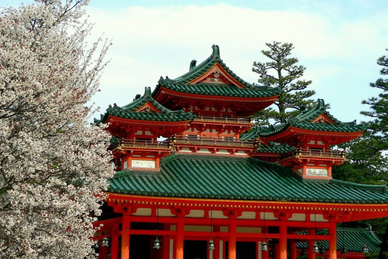 Hoa anh đào nở ở đền Heian